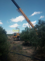 batna-algerie-construction-travaux-location-grue-25-tonnes