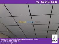 الجزائر-برج-البحري-خدمات-faux-plafond