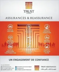 assurance tout branche