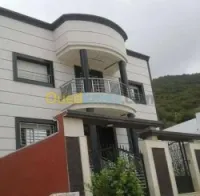 Revêtement des façades monocouche 