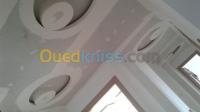 الجزائر-الخرايسية-بناء-و-أشغال-placoplatre
