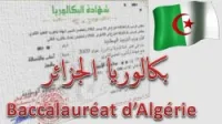 programme bac