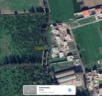 Vente Terrain Blida Chebli