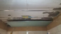 Bricolage بريكولاج Faïence . Dale de 