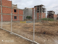 construction-travaux-cloture-grillage-et-panneaux-les-eucalyptus-alger-algerie