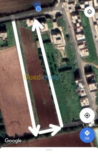 land-sell-mostaganem-algeria