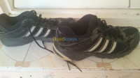 alger-ben-aknoun-algerie-basquettes-adidas