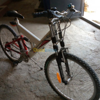 medea-algerie-articles-de-sport-vélo-peugeot-en-aluminium