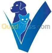 Médecin chirurgien vétérinaire 