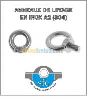 autre-anneau-de-levage-male-et-femelle-inox-dar-el-beida-alger-algerie