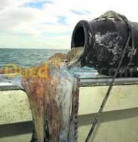 الجزائر-وسط-اصطياد-و-صيد-الأسماك-piège-à-poulpe
