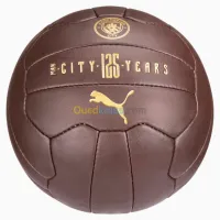 PUMA ACM FAN BALL 120 PUCE-VICTORY GOLD