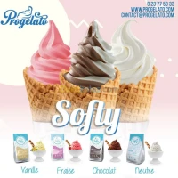 Matières Premières Glace - SOFTY