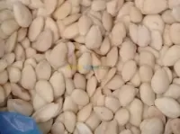 لوز أبيض تونس amande blanc Tunisie 