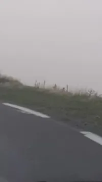 Vente Terrain Bejaia Bejaia