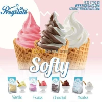 Matières Premières Glace SOFTY LAIT