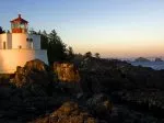cours a domicile de science naturelle 