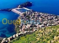 جيجل-زيامة-منصورية-الجزائر-شقة-byaa-shk-3-ghrf-jyjl-zyam-mnsory