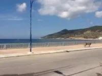 Location Studio Skikda El marsa