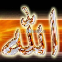 الجزائر-بئر-توتة-إدارة-مكتبية-و-أنترنت-saisie