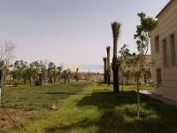 تشجير 