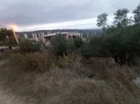 Vente Terrain Blida Djebara