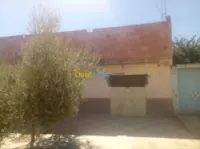 Vente Appartement F7 Saida Saida