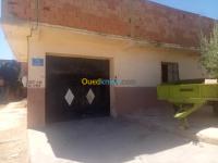 سعيدة-الجزائر-شقة-byaa-shk-7-ghrf-saayd