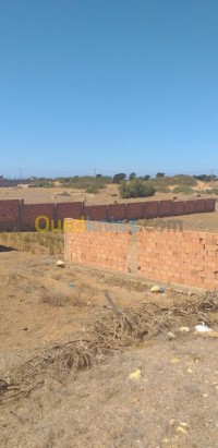 أرض-بيع-مستغانم-الجزائر