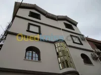Traitment des façades monocouche