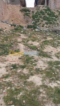 معسكر-الجزائر-أرض-byaa-ard-maaskr
