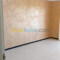 الجزائر-وسط-ديكورات-و-ترتيب-pienture-batiment