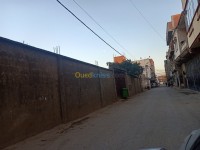 أرض-كراء-الجزائر-بئر-توتة