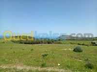 عين-تموشنت-بني-صاف-الجزائر-أرض-vente-terrain-ain-temouchent-beni-saf