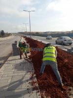 jardinage-entreprise-amenagement-des-espaces-ver-boufarik-blida-algerie