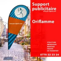 Oriflamme beach flag 