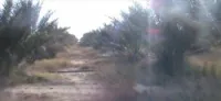 Vente Terrain Biskra Ain naga