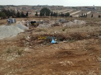 عين-تموشنت-بني-صاف-الجزائر-أرض-byaa-ard-aayn-tmoshnt-bny-saf