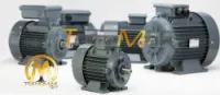 Moteur electrique gamak 