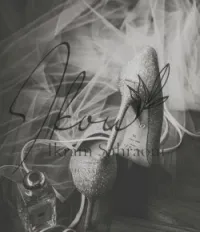 Photographe camerawomen