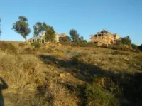 Vente Terrain Tizi ouzou Azazga