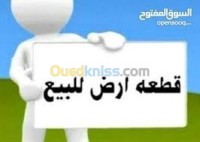 الجلفة-الجزائر-أرض-byaa-ard-aljlf