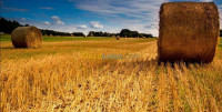 terrain-vente-tizi-ouzou-azazga-algerie