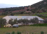 Location Hangar Béjaïa Oued ghir