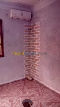 طلاء منازل