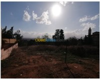 الجزائر-السحاولة-أرض-byaa-ard-aljzaer-alshaol