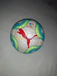 Balon puma