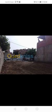 الجزائر-دار-البيضاء-أرض-byaa-ard-aljzaer-dar-albyda