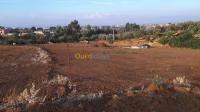 البليدة-الصومعة-الجزائر-أرض-vente-terrain-blida-soumaa
