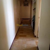 تلمسان-مغنية-الجزائر-عمارة-vente-immeuble-tlemcen-maghnia